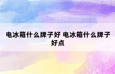 电冰箱什么牌子好 电冰箱什么牌子好点